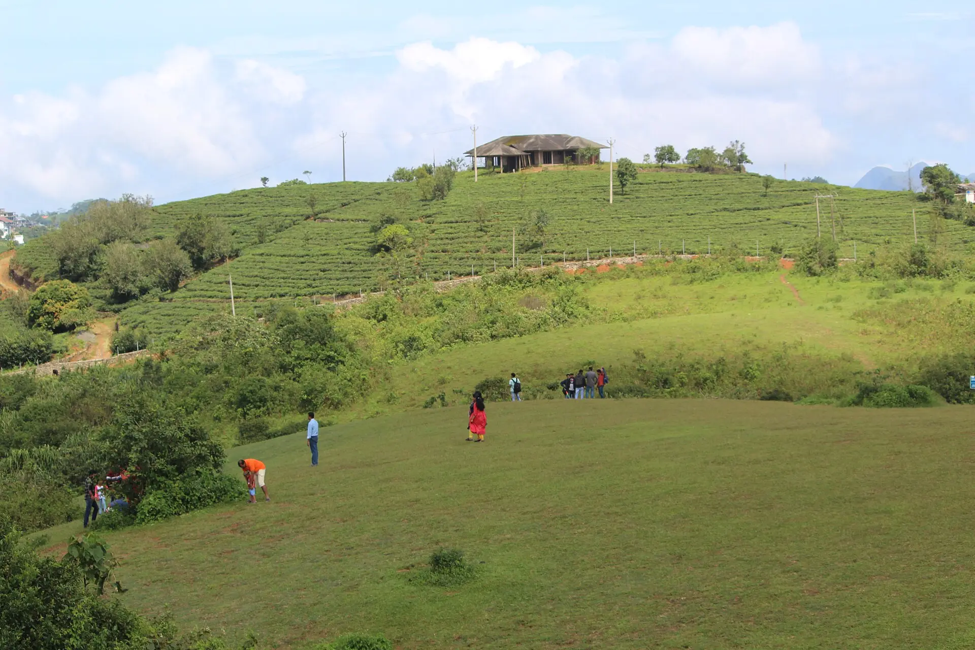Green meadows and tea slopes at Vagamon in the high ranges of Kerala
